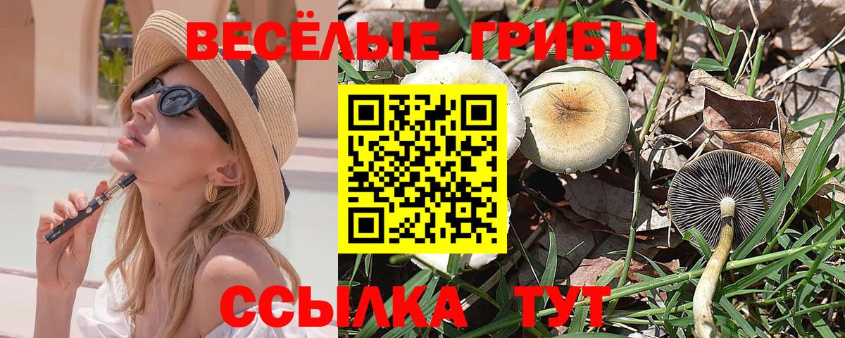 цены наркотик  Вход с VPN  Котельники  Галлюциногенные грибы Magic Shrooms 