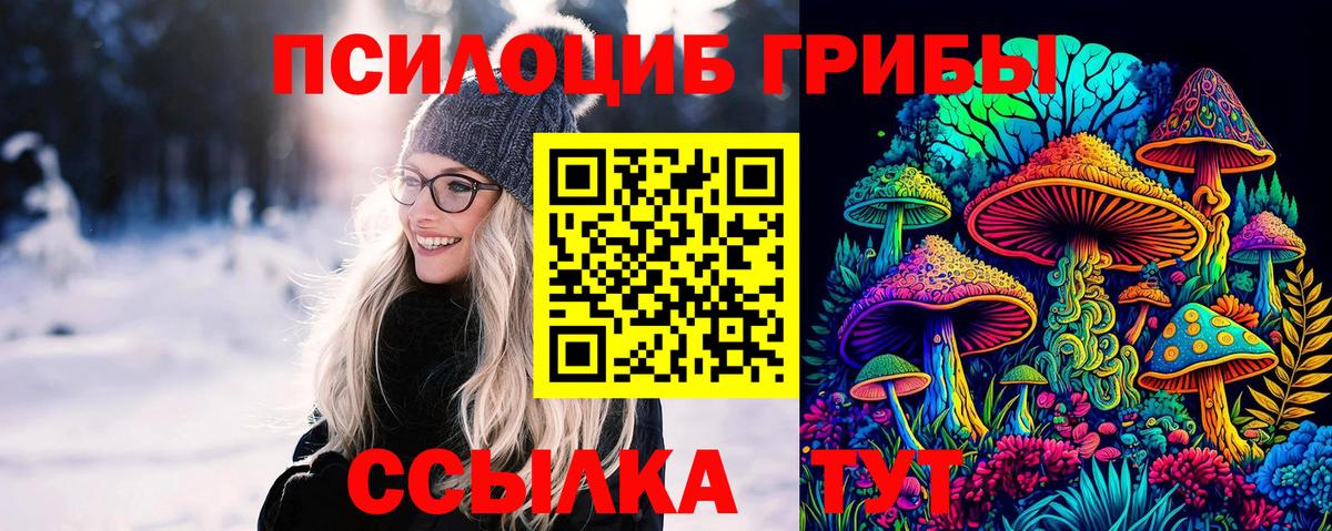 Псилоцибиновые грибы GOLDEN TEACHER Котельники